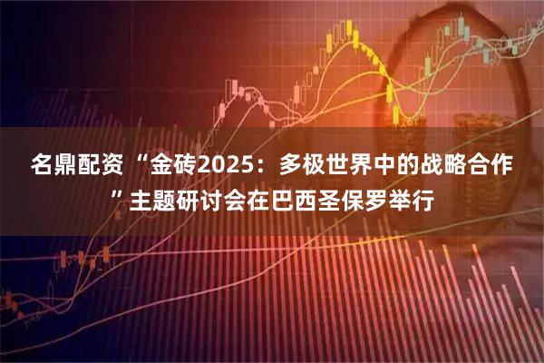 名鼎配资 “金砖2025：多极世界中的战略合作”主题研讨会在巴西圣保罗举行