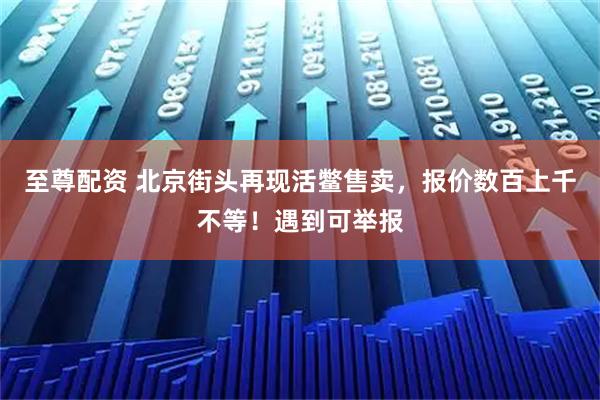 至尊配资 北京街头再现活鳖售卖，报价数百上千不等！遇到可举报