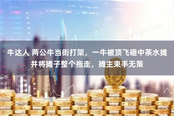 牛达人 两公牛当街打架，一牛被顶飞砸中茶水摊并将摊子整个拖走，摊主束手无策