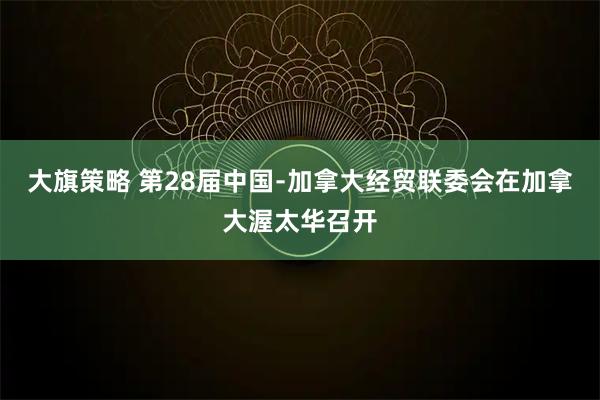 大旗策略 第28届中国﹣加拿大经贸联委会在加拿大渥太华召开