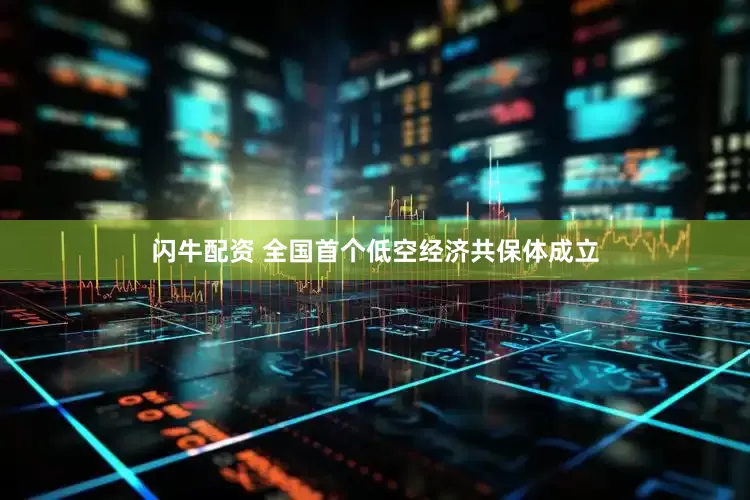 闪牛配资 全国首个低空经济共保体成立